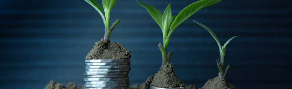Sustainable business practices for SMEs image - stacked 50 pence pieces with plant on top